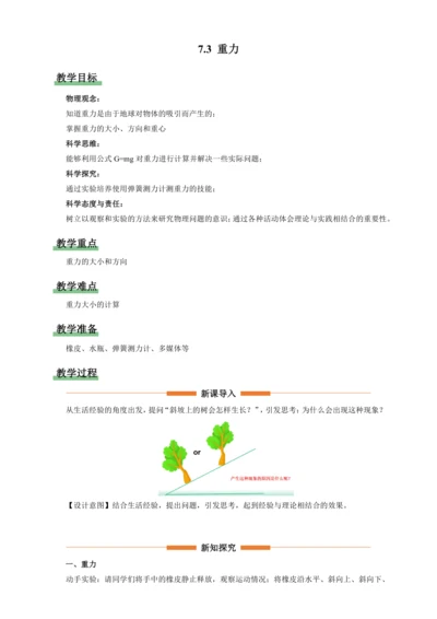 7.3重力【2024春人教八下物理同步精品备课（教案）】