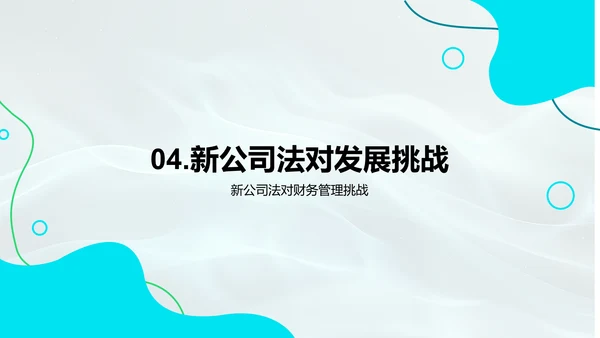 公司法解读报告
