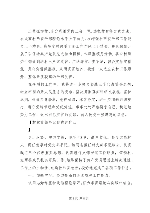 村党支部书记自我评价.docx