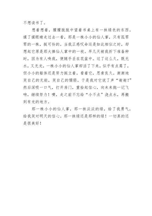 我心中的一抹绿色作文800字.docx