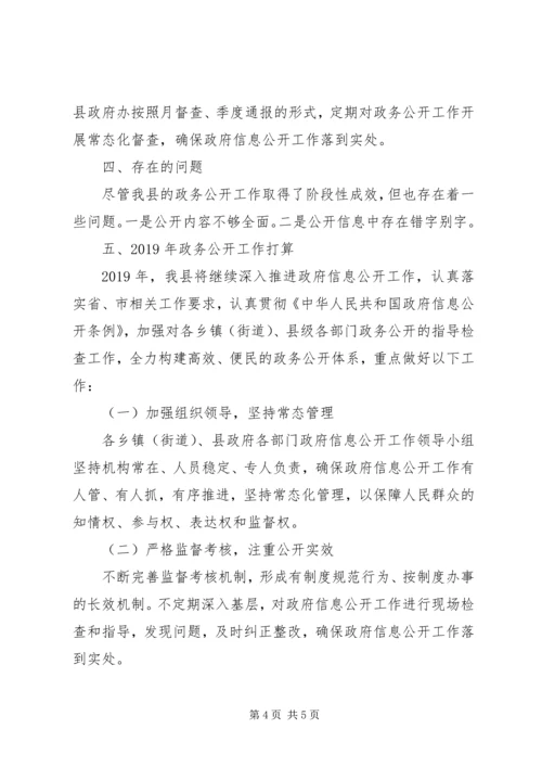 人民政府办公室201X年政务公开工作自查情况报告.docx