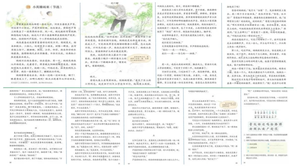 19《小英雄雨来（节选）》课件