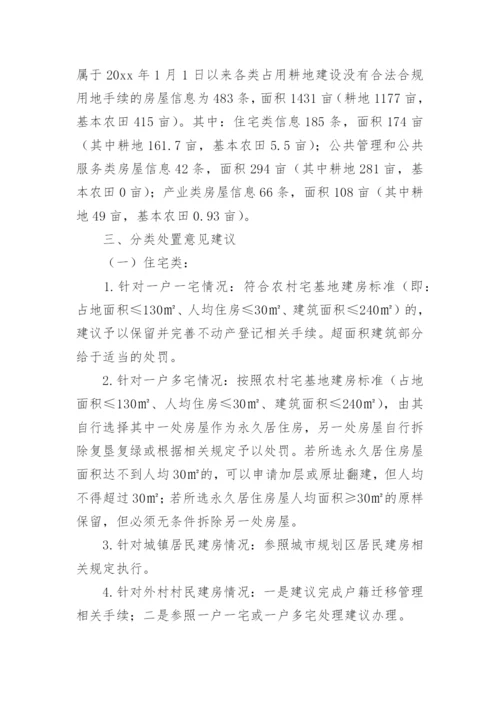 农村乱占耕地建房整改方案.docx