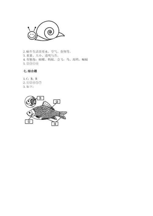 教科版一年级下册科学期末测试卷加精品答案.docx