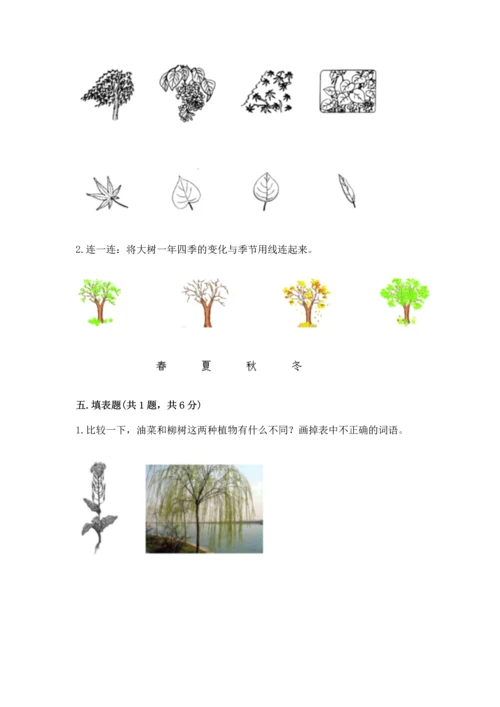 教科版科学一年级上册第一单元《植物》测试卷及一套参考答案.docx