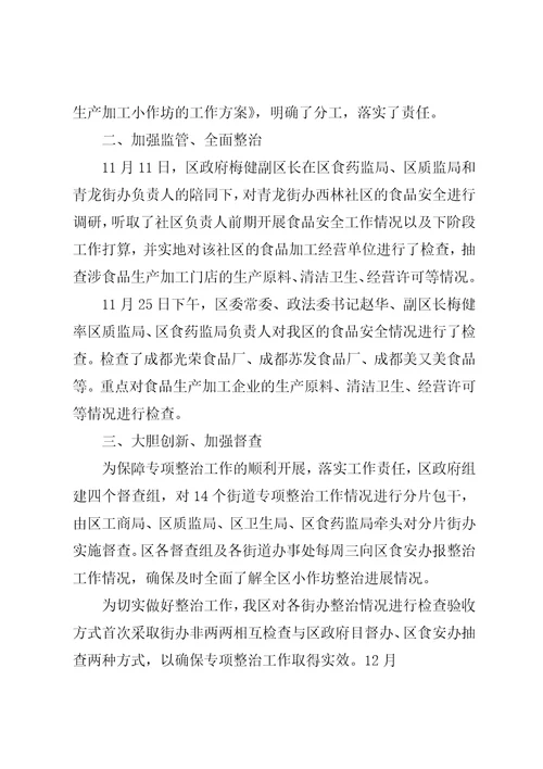 食品生产加工小作坊专项整治工作总结