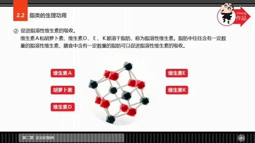 运动营养学通用PPT模板