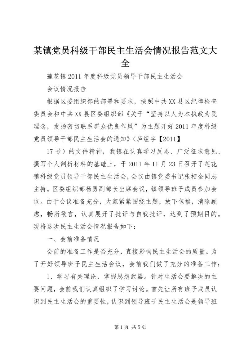 某镇党员科级干部民主生活会情况报告范文大全 (2).docx