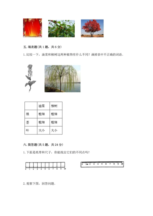 教科版一年级上册科学期末测试卷带精品答案.docx