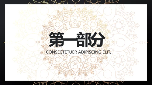 黑金高端大气金融产品介绍动态PPT模板
