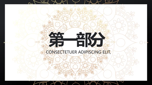 黑金高端大气金融产品介绍动态PPT模板