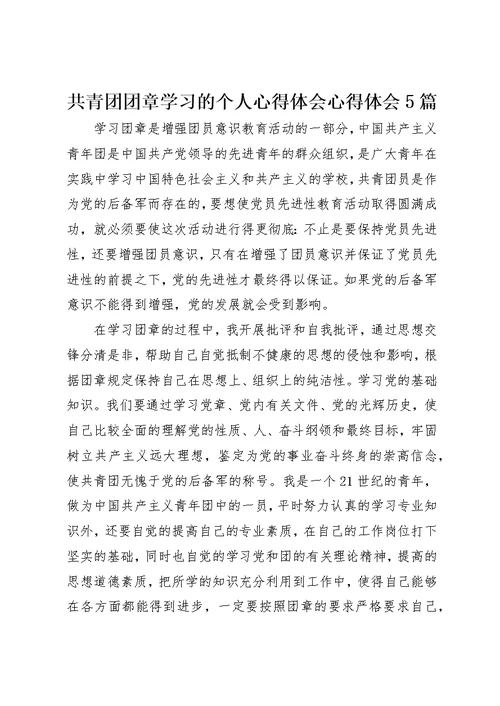 共青团团章学习的个人心得体会心得体会5篇