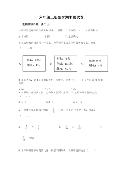 六年级上册数学期末测试卷附完整答案【历年真题】.docx