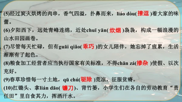 17《孤独之旅》课件