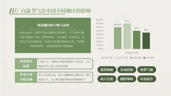 绿色中国风白露节气主题班会PPT模板