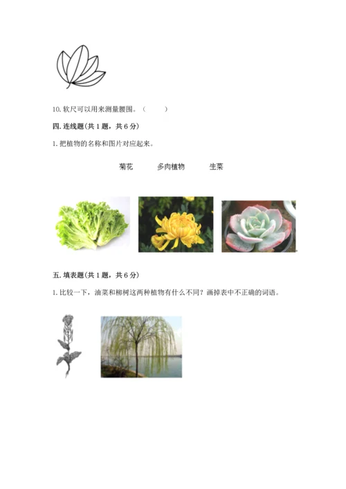 教科版一年级上册科学期末测试卷带答案（b卷）.docx