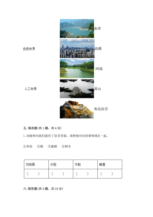 教科版科学二年级上册《期末测试卷》（名师系列）.docx
