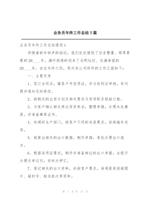 业务员年终工作总结5篇.docx