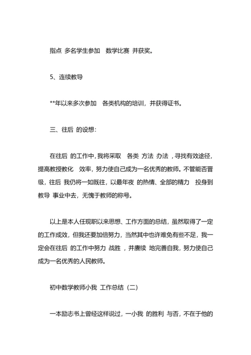初中数学教师工作总结.docx