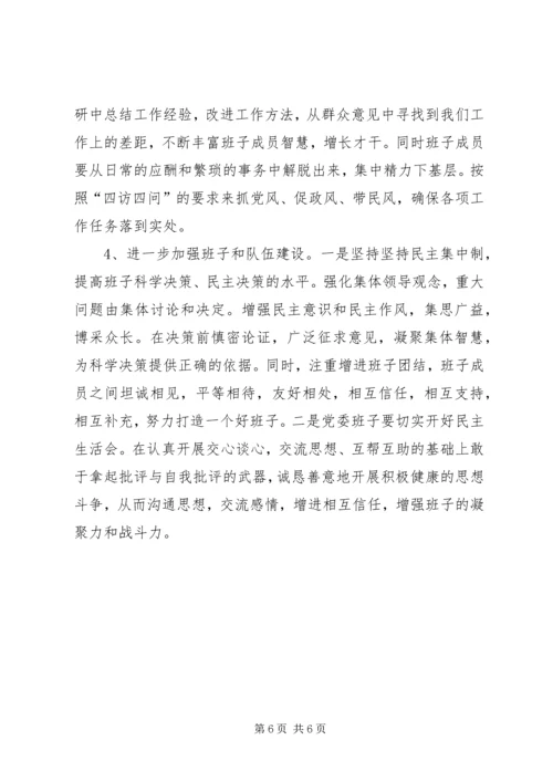 乡领导班子查摆问题专题汇报材料.docx