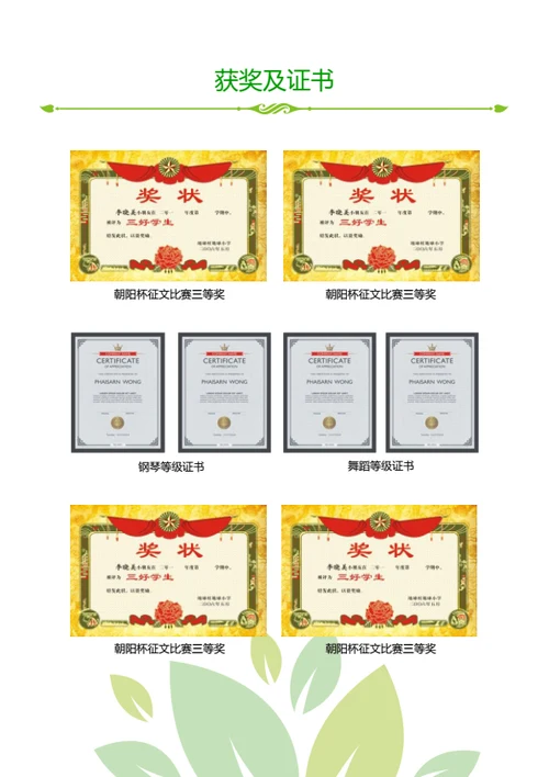 小升初优秀班干部简历