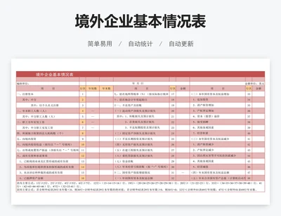 境外企业基本情况表