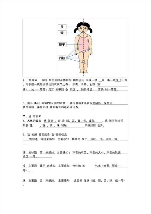 新教材教科二年级下册科学期末复习计划资料全册知识点总结计划