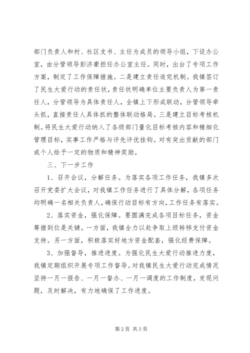 乡镇某年上半年“民生大爱”行动工作总结.docx