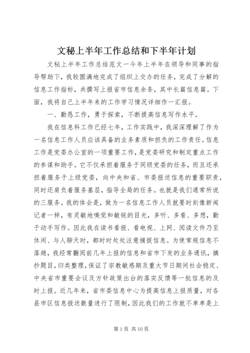 文秘上半年工作总结和下半年计划.docx