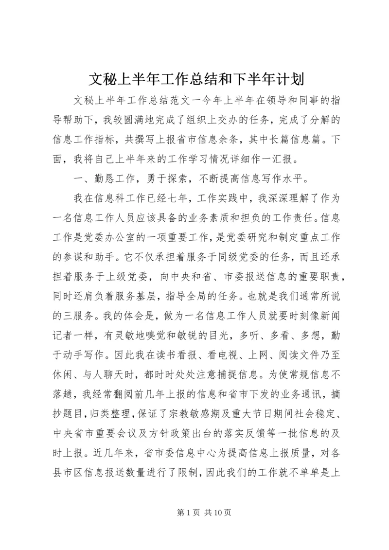 文秘上半年工作总结和下半年计划.docx