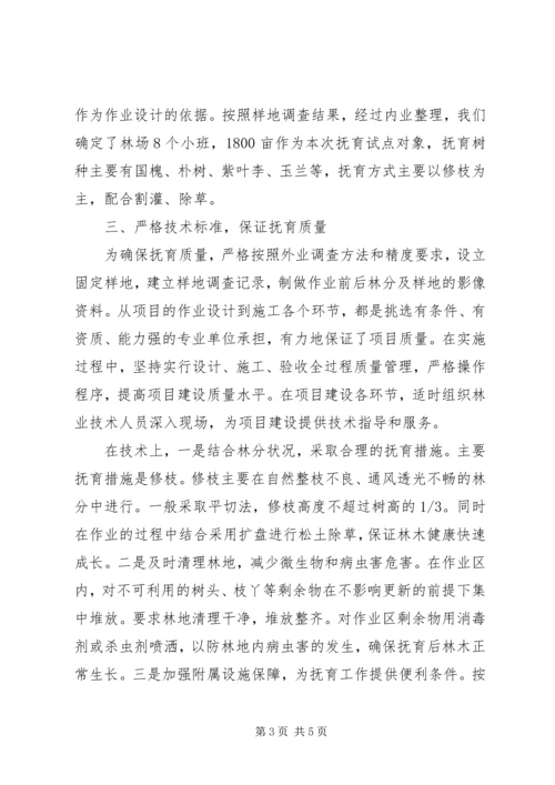 陆水林场森林抚育补贴试点实施方案 (4).docx