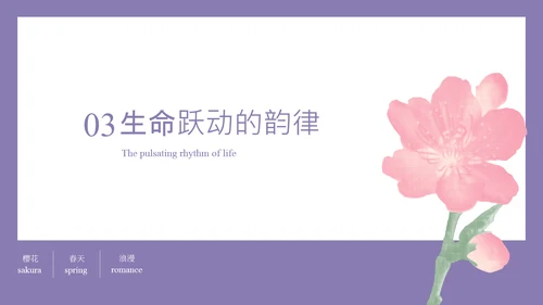 粉紫彩色半调风格樱花元素春日活动策划PPT模板