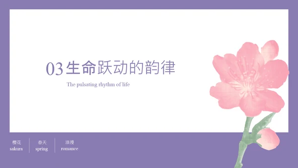 粉紫彩色半调风格樱花元素春日活动策划PPT模板