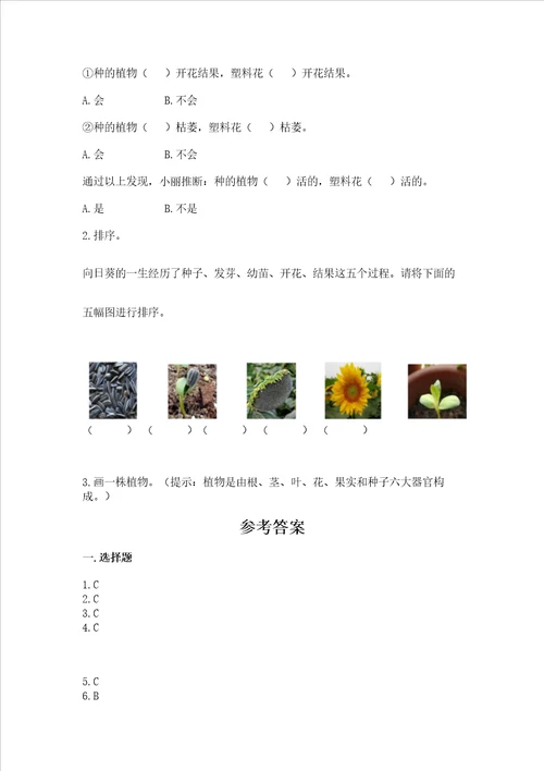 教科版科学一年级上册第一单元植物测试卷中心小学