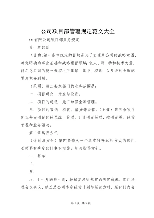 公司项目部管理规定范文大全 (4).docx