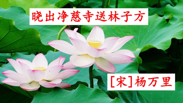 二下《古诗二》第一课时