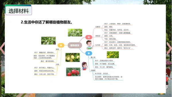 统编版三年级语文下册单元作文能力提升第一单元+习作：我的植物朋友（教学课件）