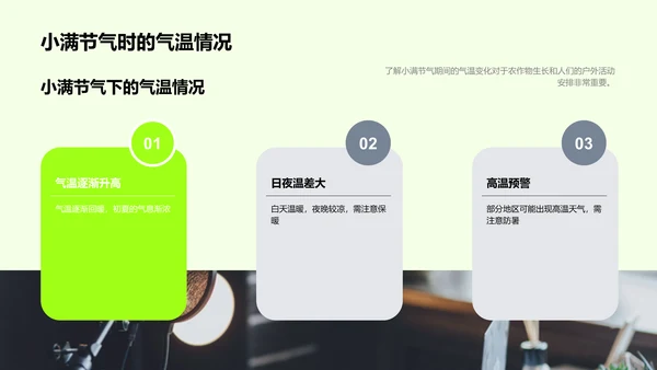 小满节气解析PPT模板