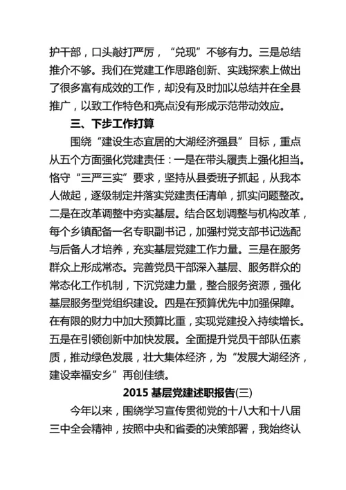 2015年度基层党建述职报告1