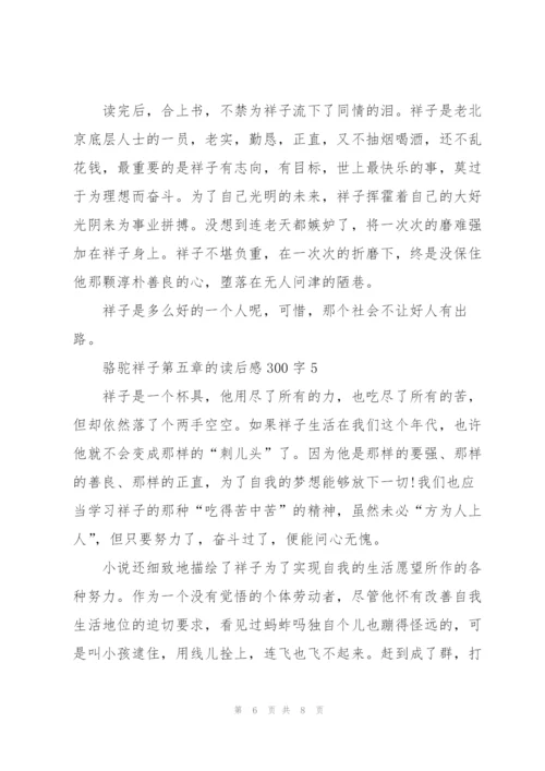 骆驼祥子小说第五章的读后感300字5篇.docx