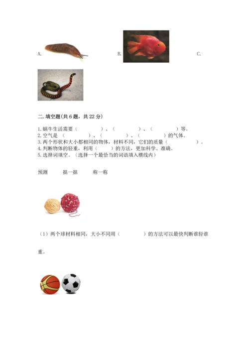 教科版一年级下册科学期末测试卷及参考答案【基础题】.docx
