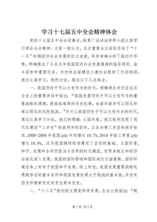 学习十七届五中全会精神体会 (2).docx
