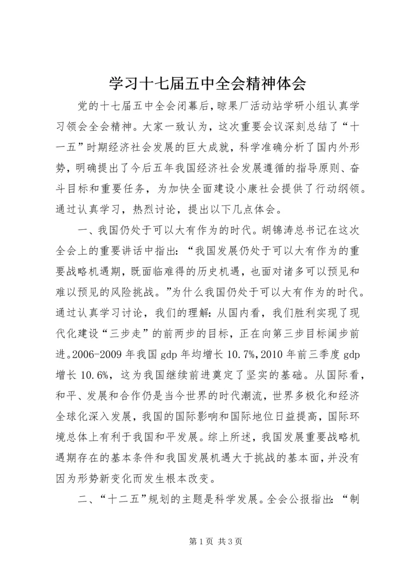 学习十七届五中全会精神体会 (2).docx