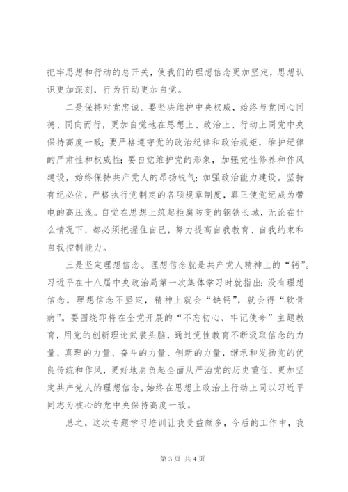 学习政治能力建设专题培训心得体会.docx