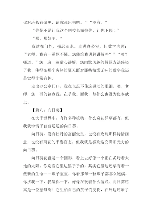 描写向日葵的作文.docx