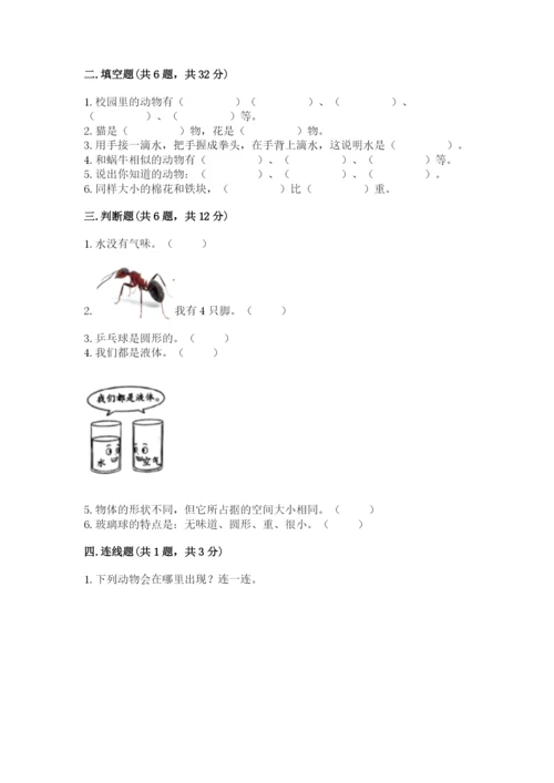 教科版一年级下册科学期末测试卷【精练】.docx