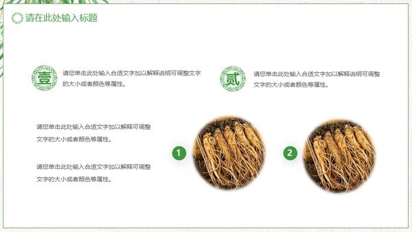中草药中药人参通用PPT模板