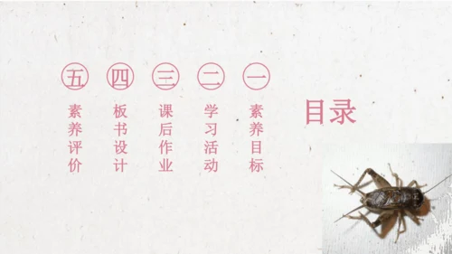【大单元】统编版四上第二单元 第4课时 10.蟋蟀的住宅  课件