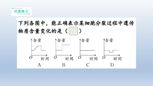 人教版生物七年级上册第一单元《生物与细胞》单元复习课件(共53张PPT)