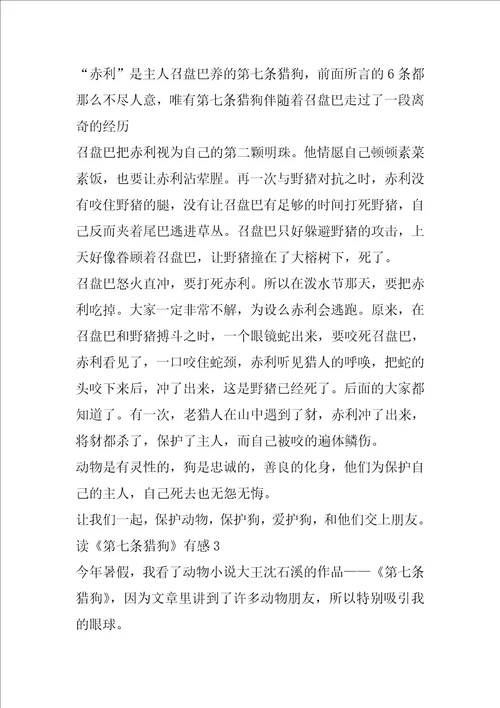 读第七条猎狗有感精选600字范文